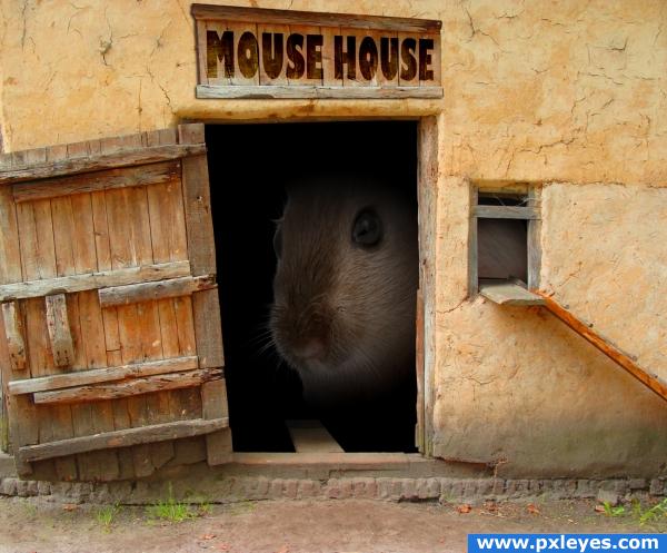 Creation of Mouse House: Final Result